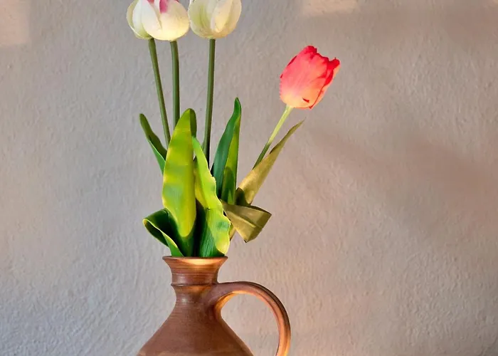 Lägenhet Sonnblick, Kaprun, Salzburg - Am Kitzsteinhorn Gletscher *